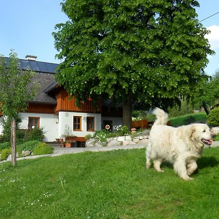Huettstaedterhof Familie Poetsch Aigen im Ennstal