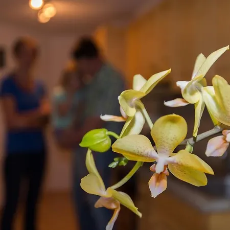 Huettstaedterhof Familie Poetsch Aigen im Ennstal