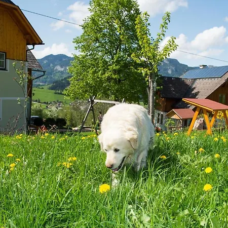 Huettstaedterhof Familie Poetsch Feriegård *