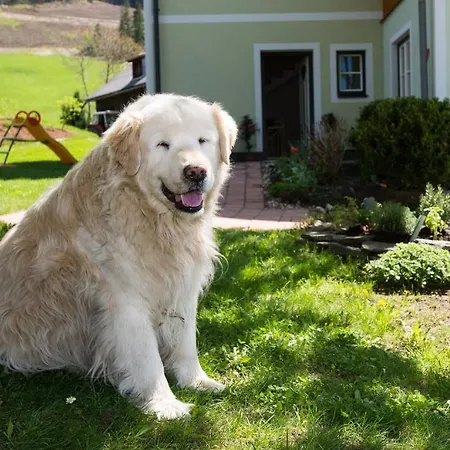 Feriegård Huettstaedterhof Familie Poetsch Aigen im Ennstal