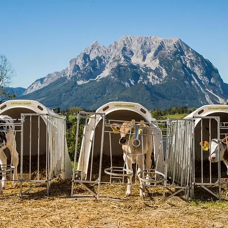 Huettstaedterhof Familie Poetsch Aigen im Ennstal