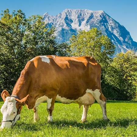 Feriegård Huettstaedterhof Familie Poetsch