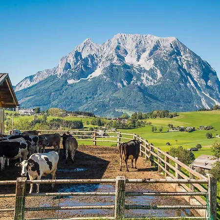 Huettstaedterhof Familie Poetsch Farm stay