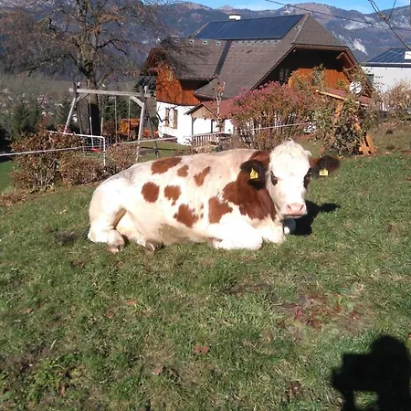 Huettstaedterhof Familie Poetsch Feriegård Aigen im Ennstal