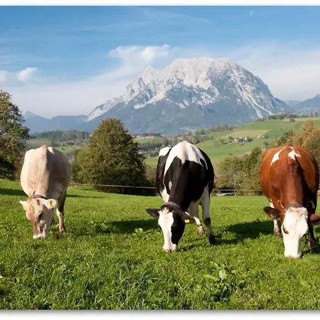Farm stay Huettstaedterhof Familie Poetsch Aigen im Ennstal