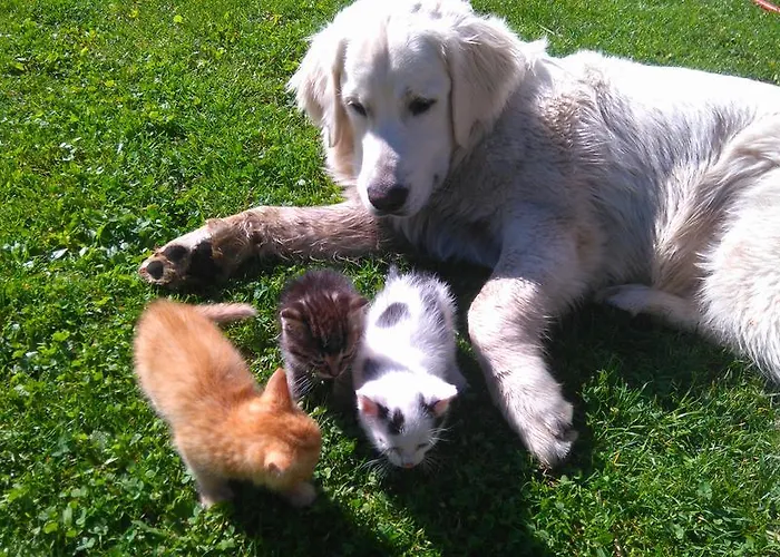 مزرعة للإقامة Huettstaedterhof Familie Poetsch آيغن إم إنشتال