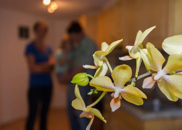 Huettstaedterhof Familie Poetsch آيغن إم إنشتال