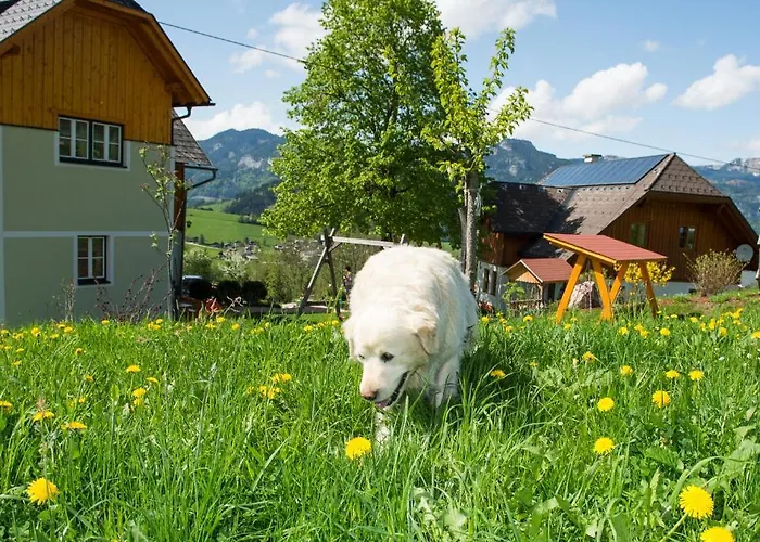 Huettstaedterhof Familie Poetsch مزرعة للإقامة *