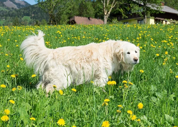 Huettstaedterhof Familie Poetsch آيغن إم إنشتال