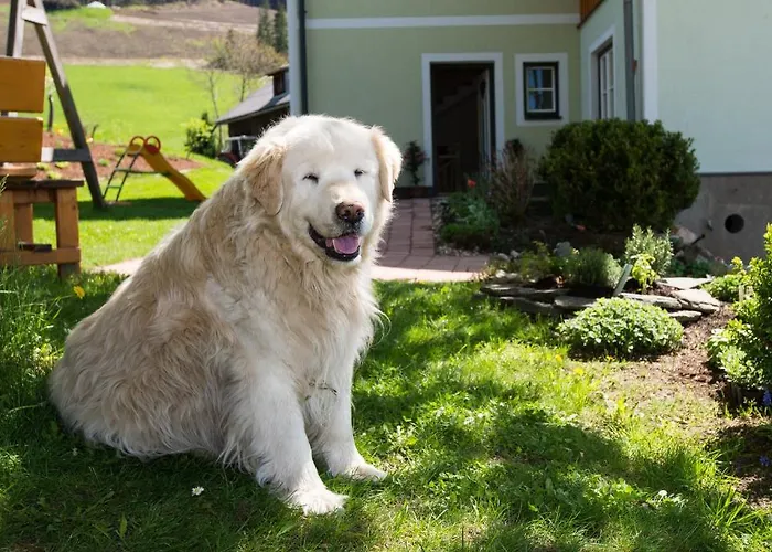 مزرعة للإقامة Huettstaedterhof Familie Poetsch آيغن إم إنشتال