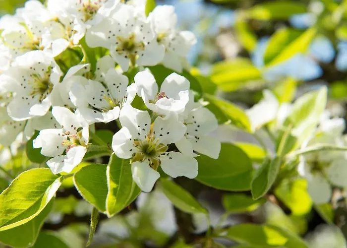 Huettstaedterhof Familie Poetsch مزرعة للإقامة آيغن إم إنشتال