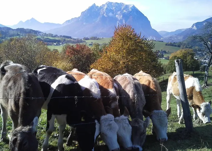 Huettstaedterhof Familie Poetsch *