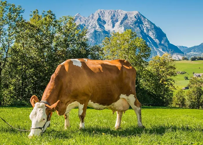 مزرعة للإقامة Huettstaedterhof Familie Poetsch