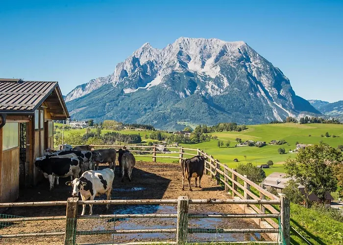 Huettstaedterhof Familie Poetsch مزرعة للإقامة