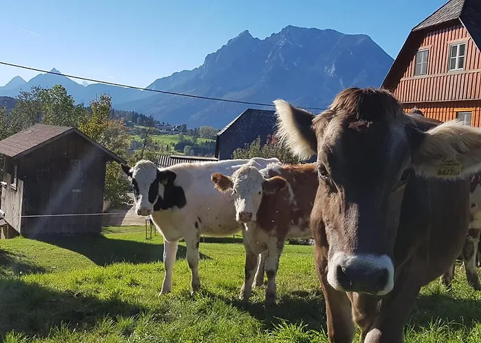 Huettstaedterhof Familie Poetsch *