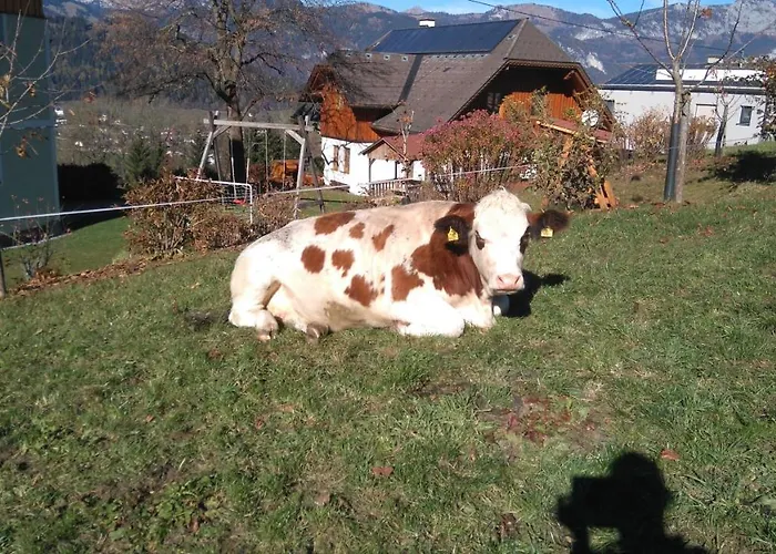 Huettstaedterhof Familie Poetsch مزرعة للإقامة آيغن إم إنشتال