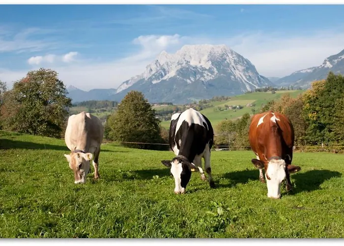 مزرعة للإقامة Huettstaedterhof Familie Poetsch آيغن إم إنشتال