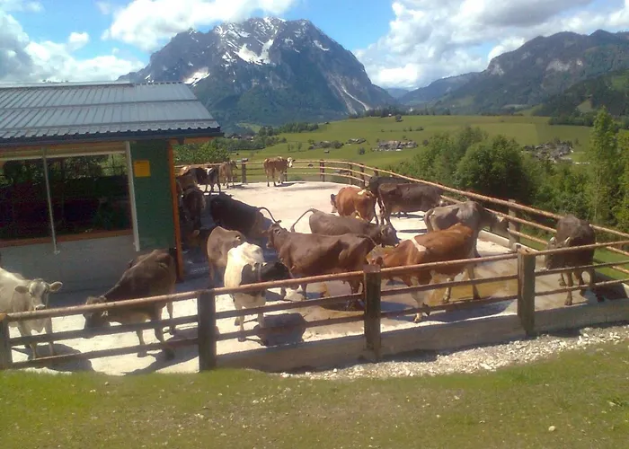 Huettstaedterhof Familie Poetsch